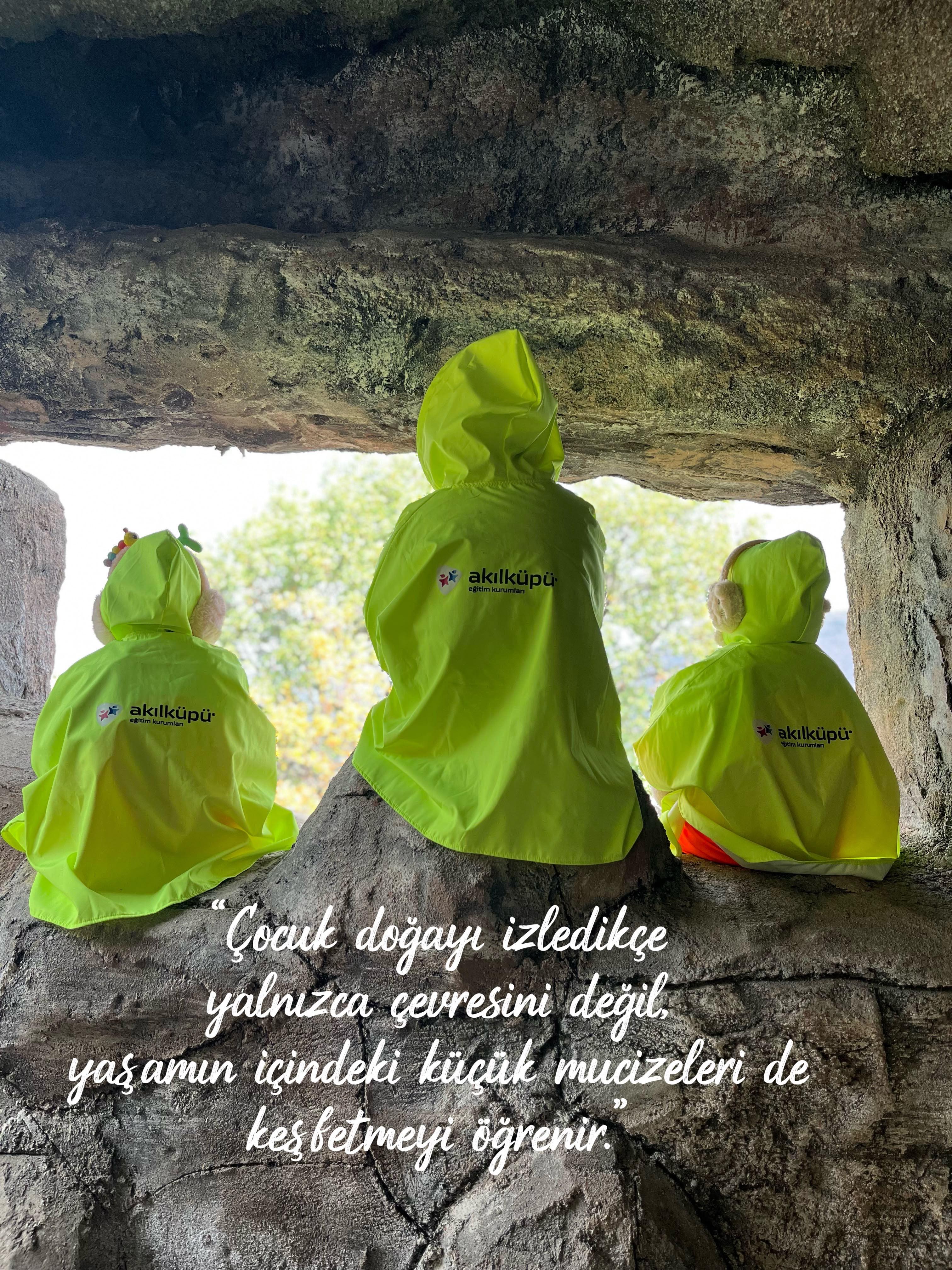 ORMAN GEZİLERİMİZ