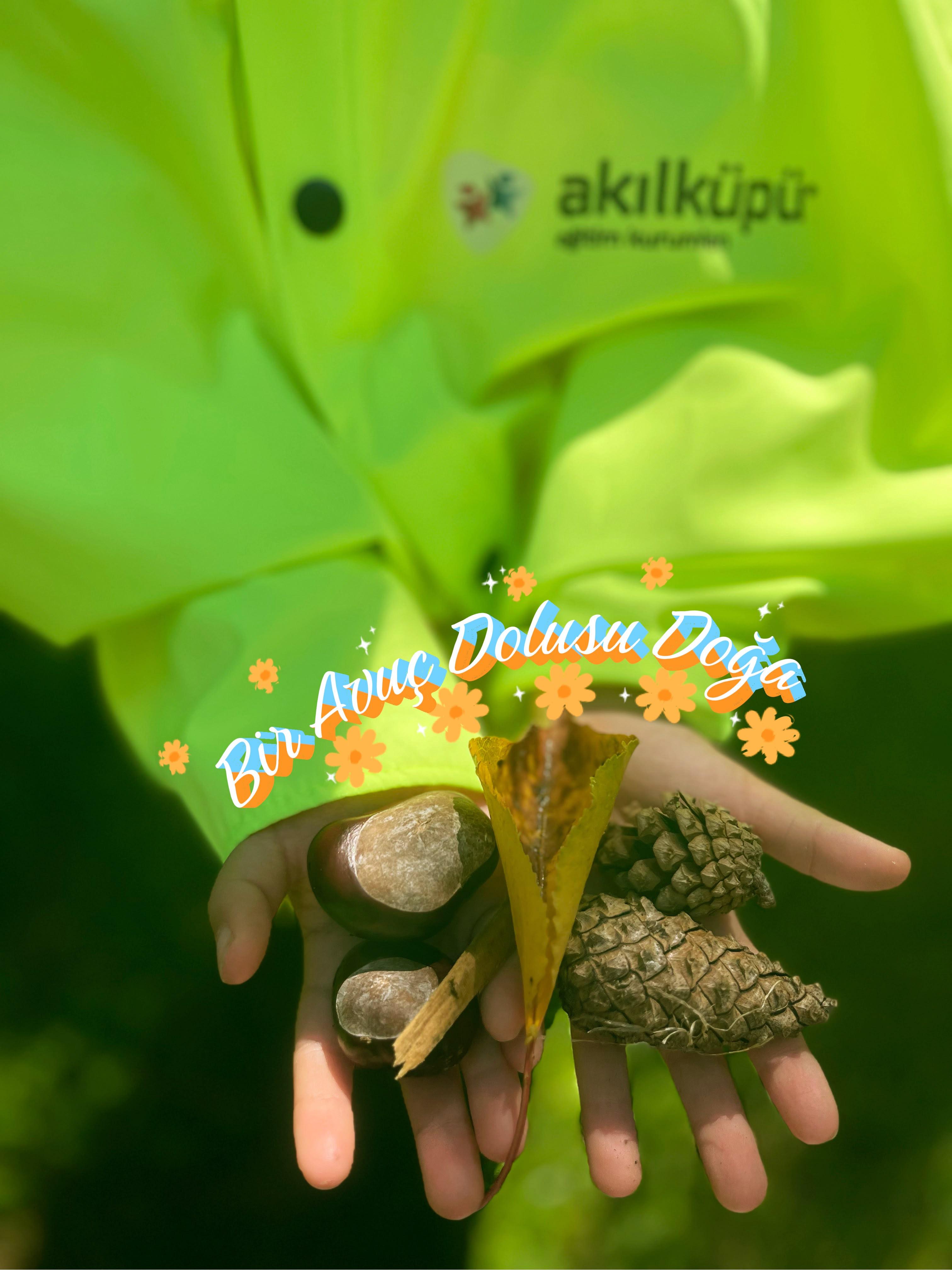 ORMAN GEZİLERİMİZ