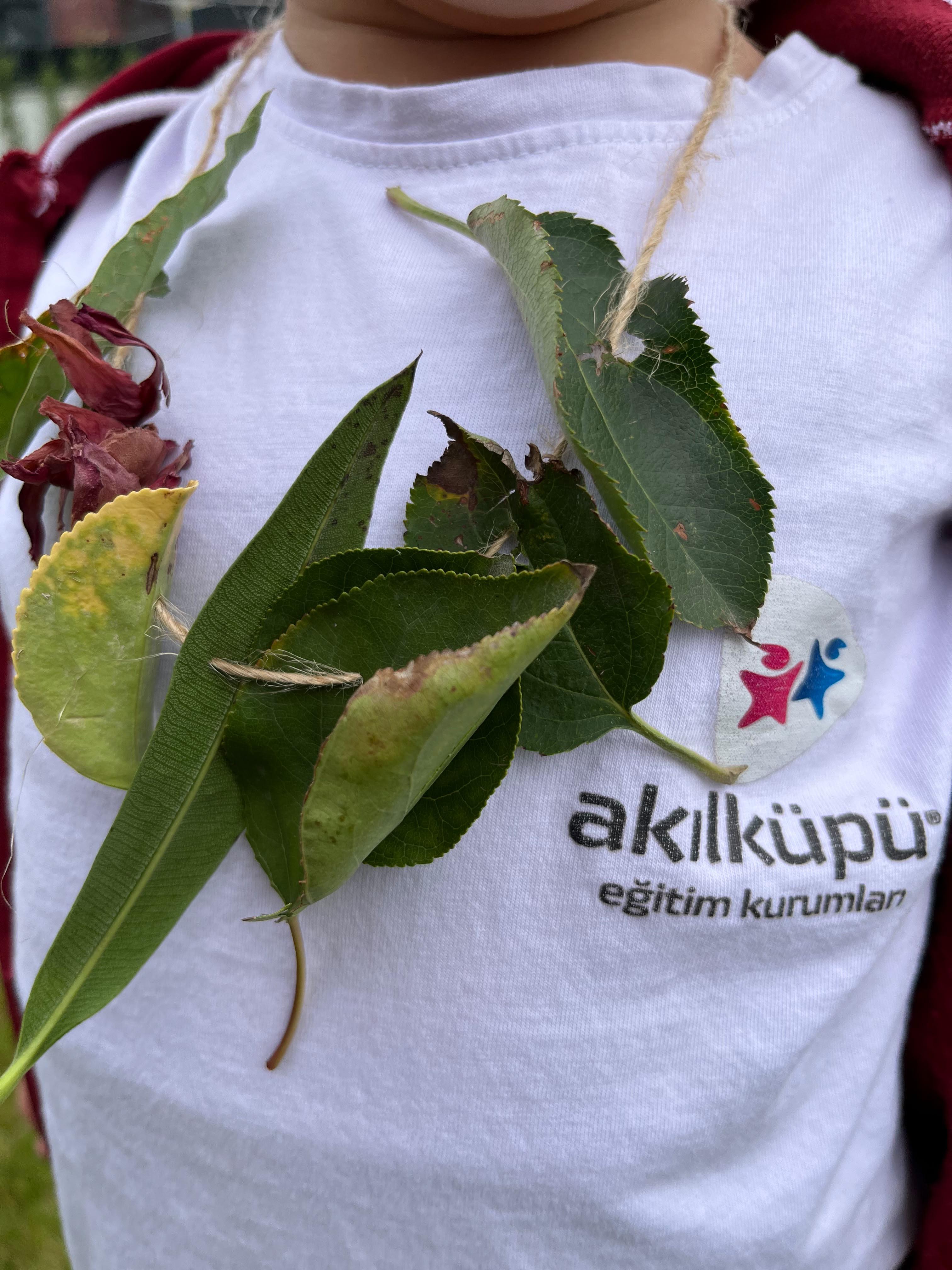 OKULUMUZ